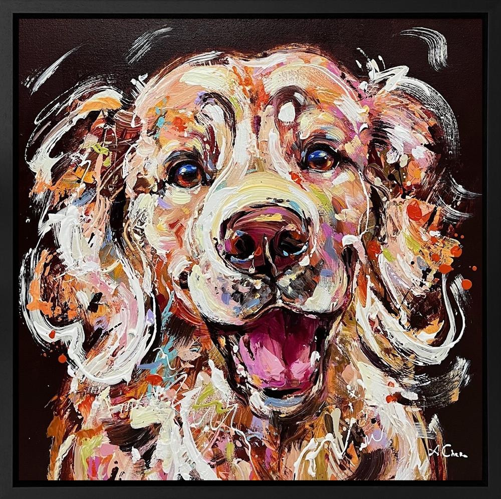 Joy On Four Paws