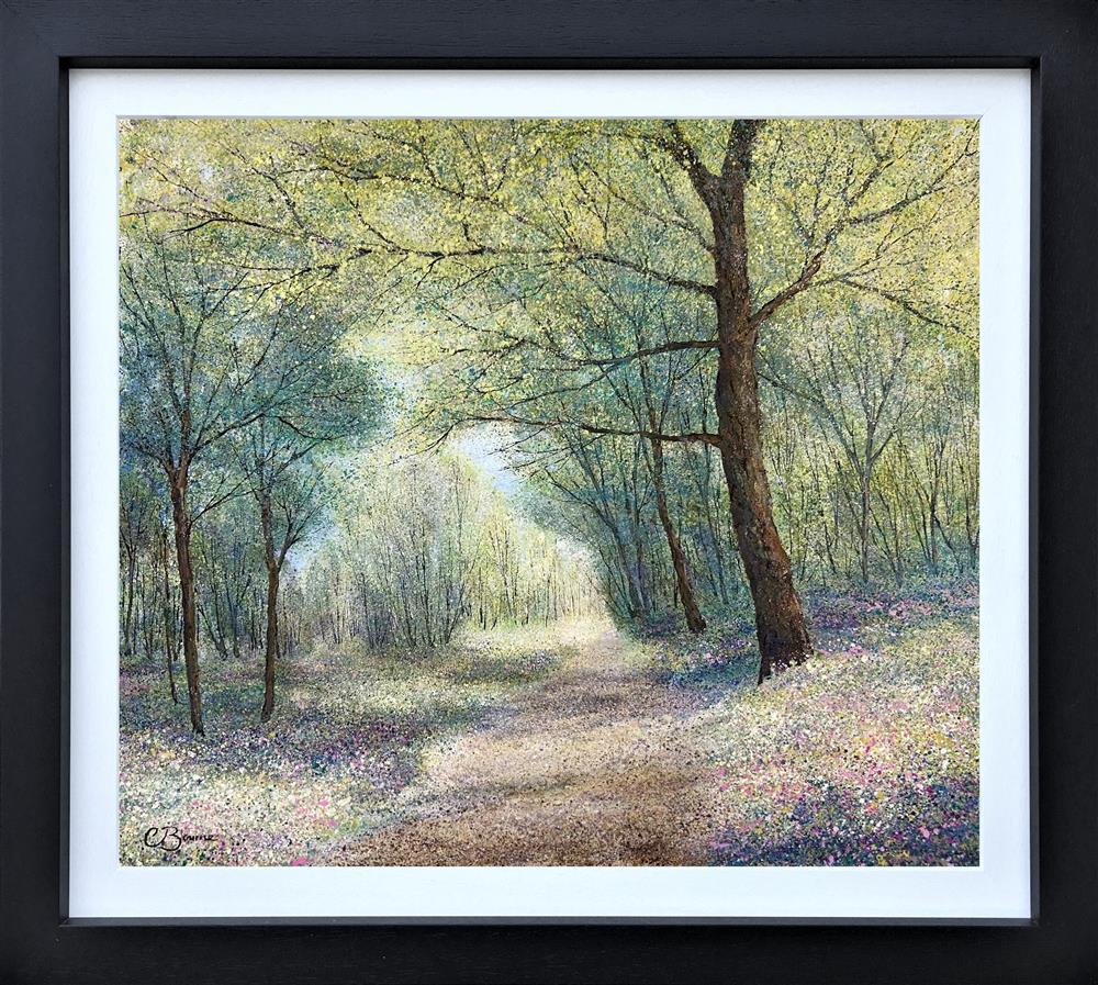chasing the light framed original by artist chris bourne