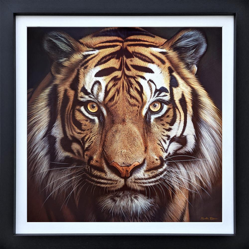 emperors gaze framed original by artist martin robson