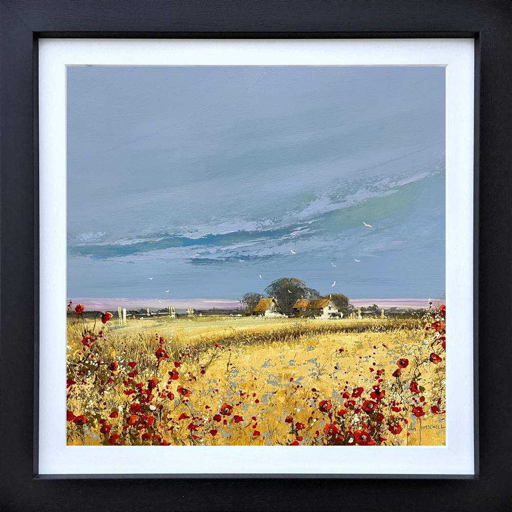 Where The Poppies Grow