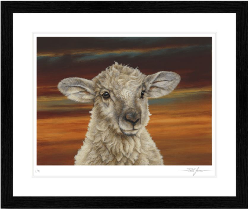 Shepherd’s Delight