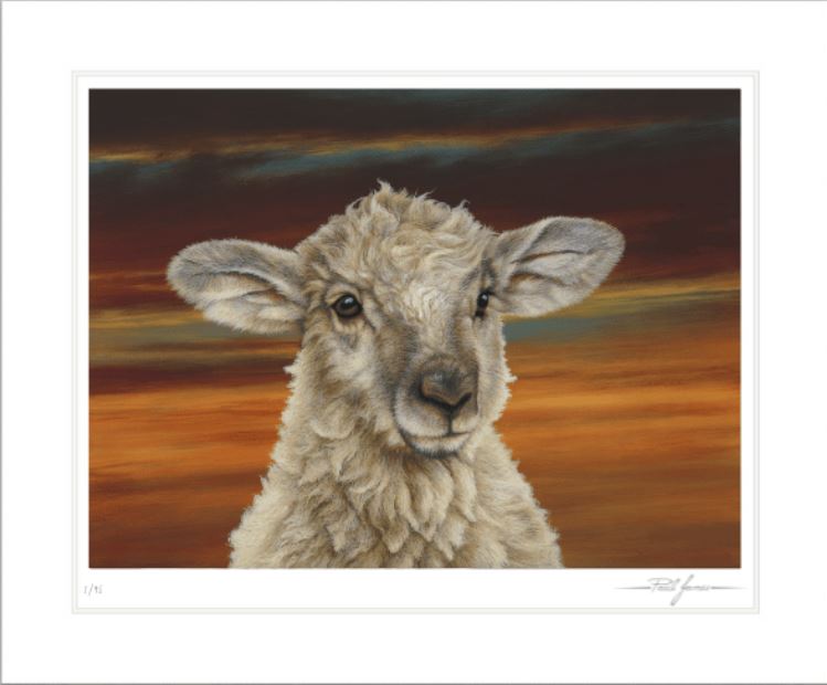 Shepherd’s Delight