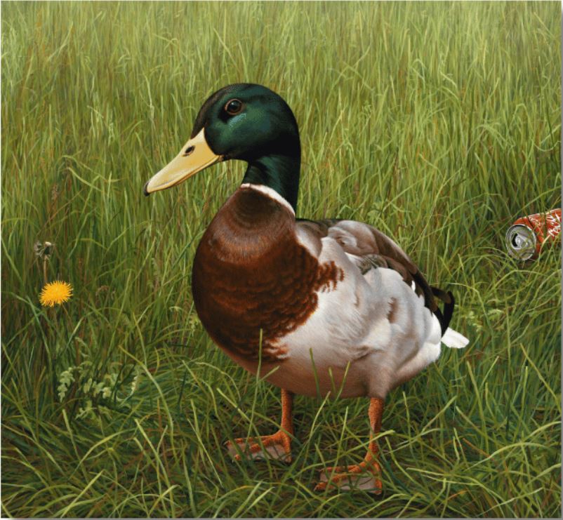 Big Handsome Charlie