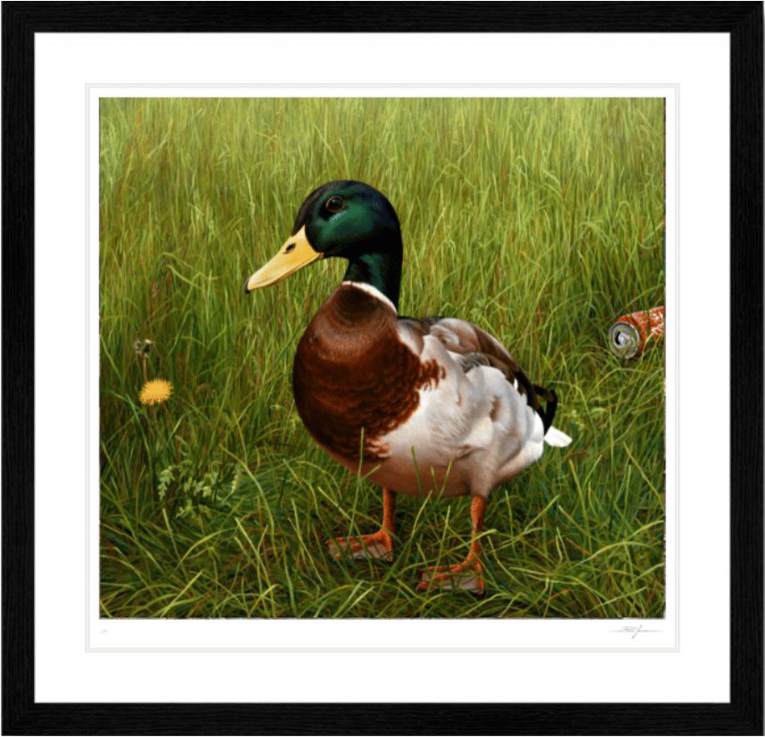 Big Handsome Charlie