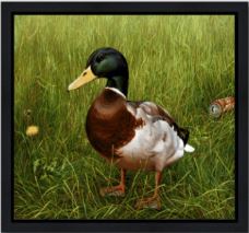 Big Handsome Charlie