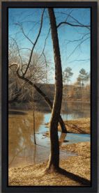 Shallows and Shadows