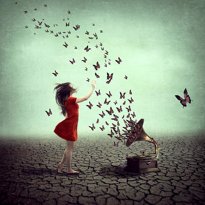 a melody that flies print by artist michelle mackie