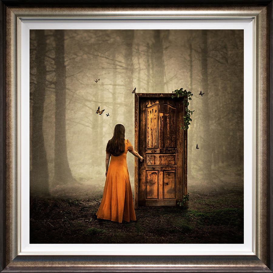 as one door shuts deluxe framed print by artist michelle mackie