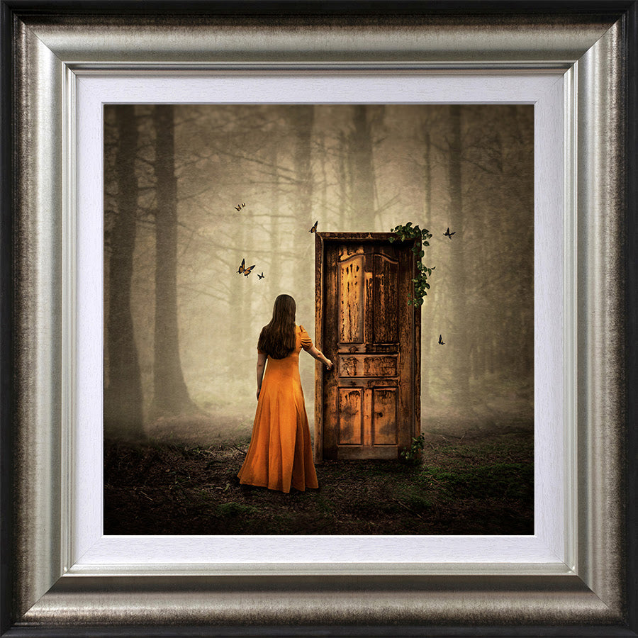 as one door shuts framed print by artist michelle mackie