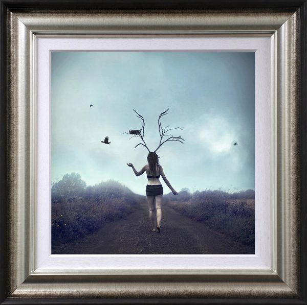 between worlds framed print by artist michelle mackie