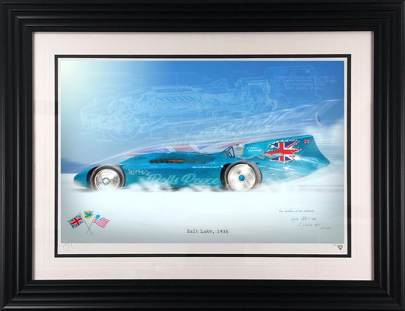 bluebird framed print by artist jj adams