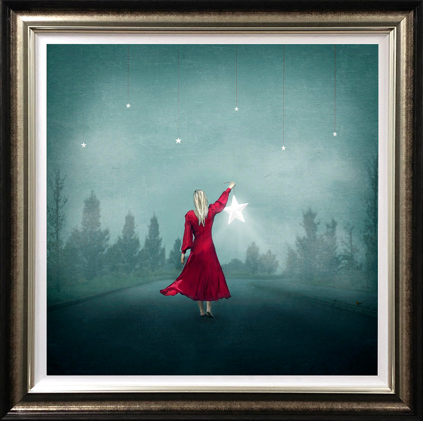 fallen star deluxe framed print by artist michelle mackie