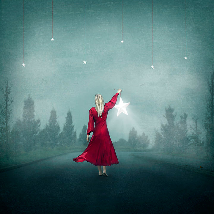 fallen star print by artist michelle mackie