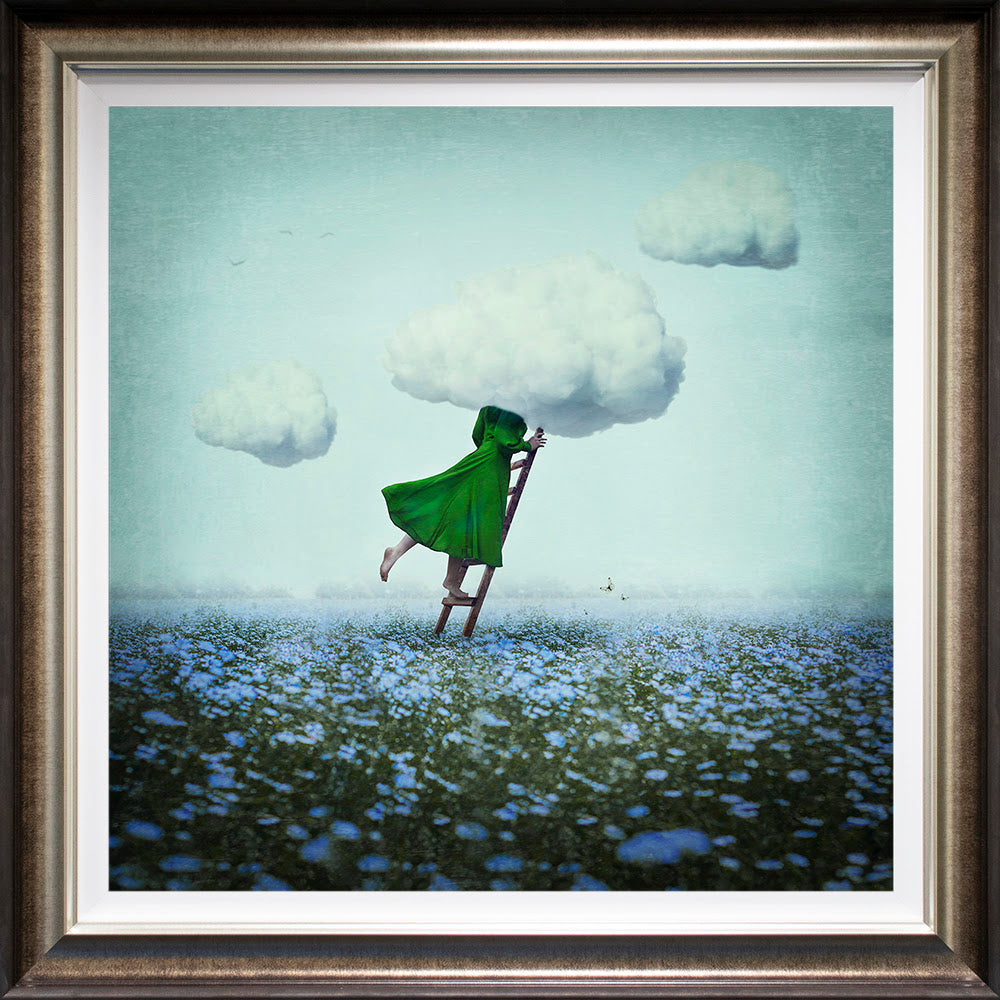 heda in the clouds deluxe framed print by artist michelle mackie
