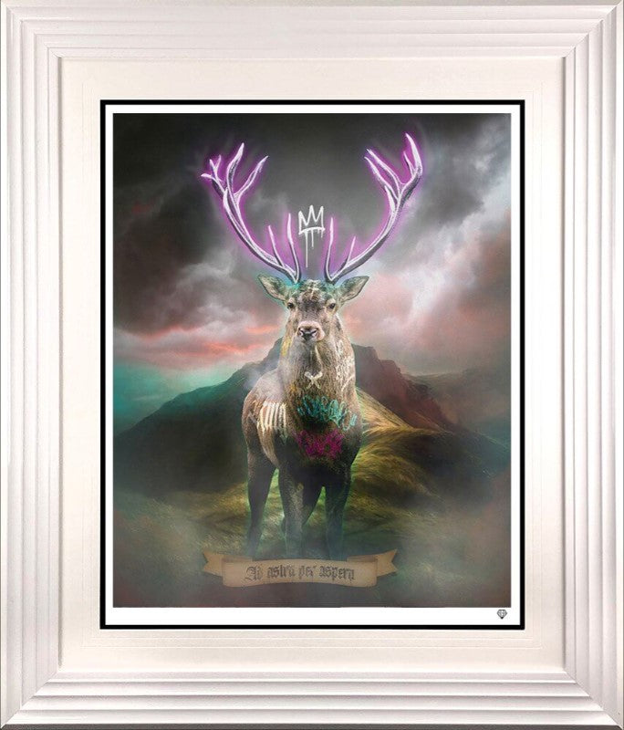 highland hunk purple print framed in white by artist jj adams