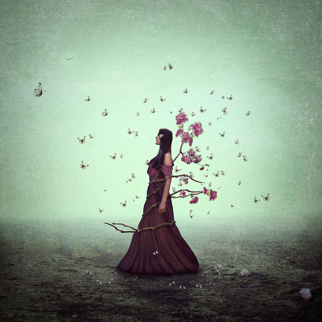 in bloom print by artist michelle mackie