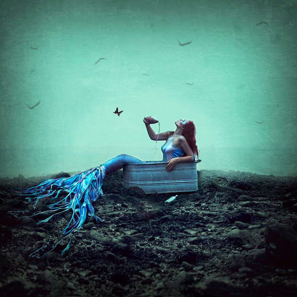 no one likes a dirty beach print by michelle mackie