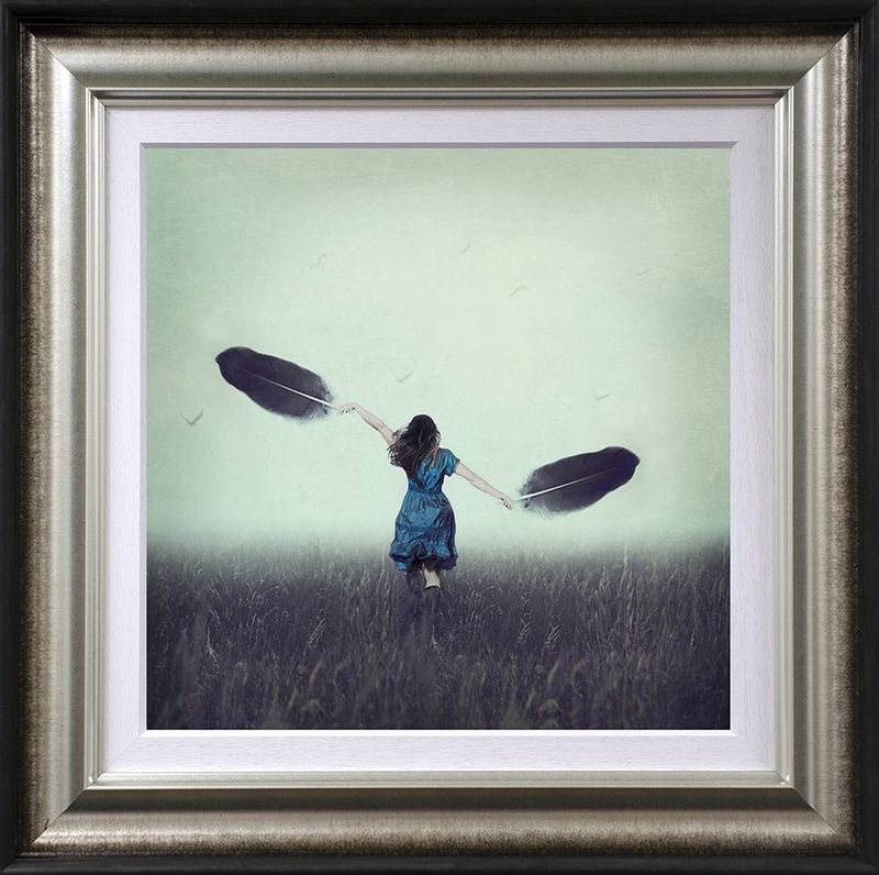 skys the limit framed print by artist michelle mackie