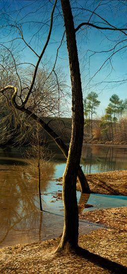 Shallows and Shadows