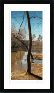 Shallows and Shadows