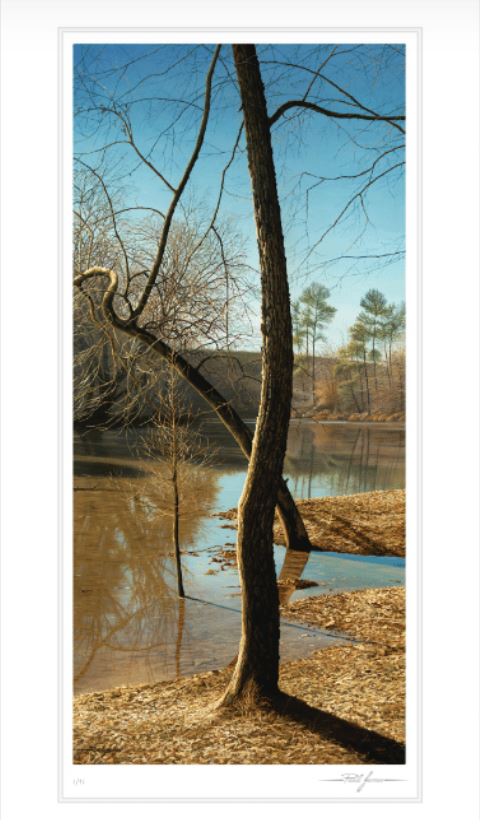 Shallows and Shadows