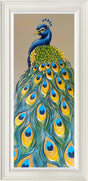 the eternal one framed original of a peacock tail by artist amy louise