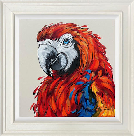 polly a colourful framed original of a red blue and yellow parrot by artist amy louise