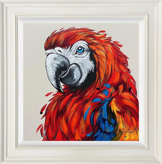 polly a colourful framed original of a red blue and yellow parrot by artist amy louise
