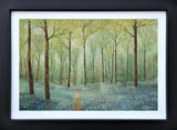 When the Bluebells Come