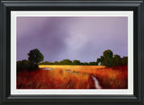 Enduring Light Framed Print by Artist Barry Hilton 