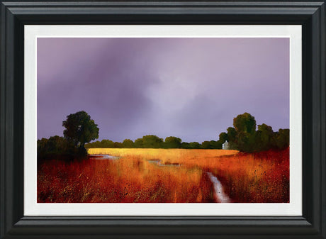 Enduring Light Framed Print by Artist Barry Hilton 