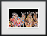 The Savannah Stripes
