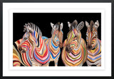 The Savannah Stripes
