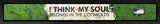 I Think My Soul - Single Pallet