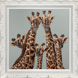 high five oval room blue framed print by artist amy louise