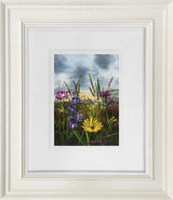 Where The Heather Breathes