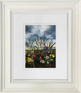 Echoes In The Valley