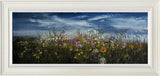 Sunlit Meadow Blossoms