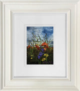 Meadow In Wild Colour