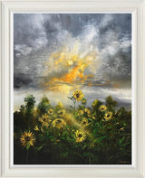 Sunlight Breaking Through