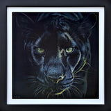 princes gaze original framed by artist martin robson
