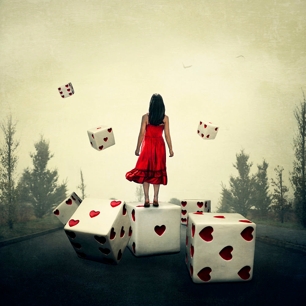 roll the dice print by artist michelle mackie