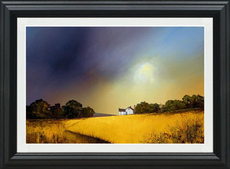 Sweeping Skies Framed Print by Artist Barry Hilton