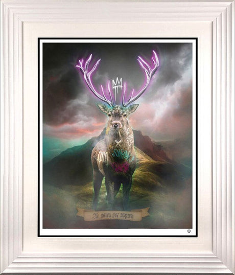 highland hunk purple print framed in white by artist jj adams