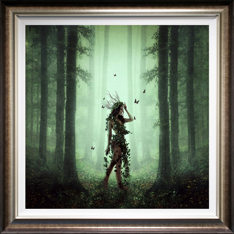 Ivy