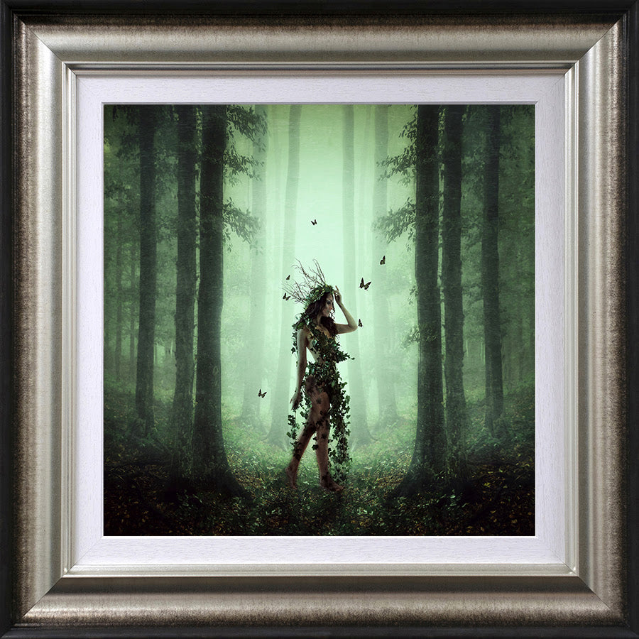 Ivy