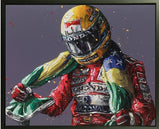 Senna Flag 25th Anniversary