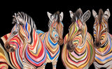 The Savannah Stripes