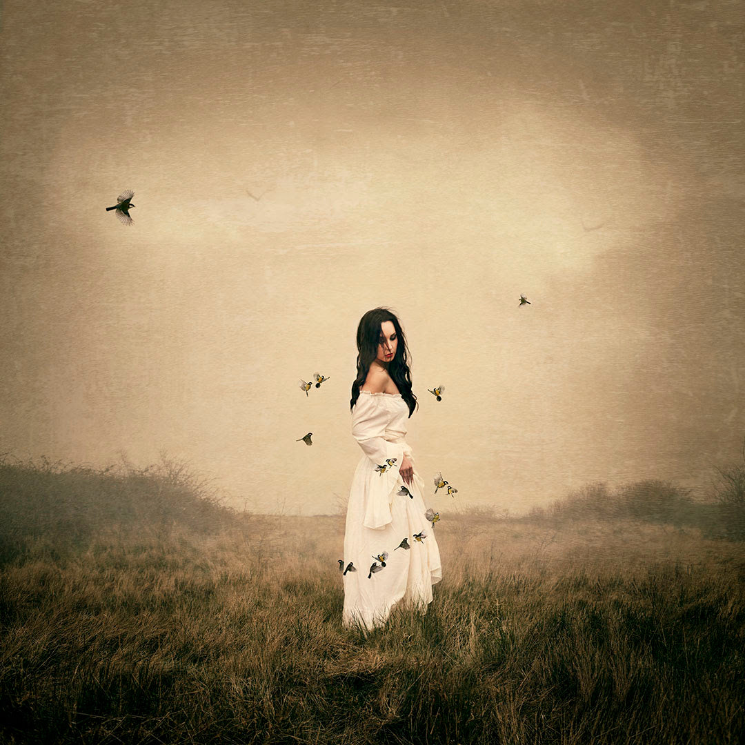 Songbird
