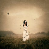 Songbird